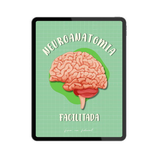 Neuroanatomia
